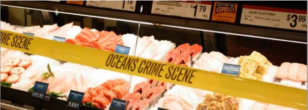 Source Greenpeace Ranking Supermarkets on Seafood Sustainability, 2014