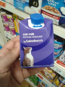 js milk cat