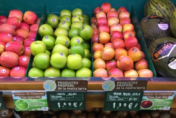 SUPSA Provenance.jpg